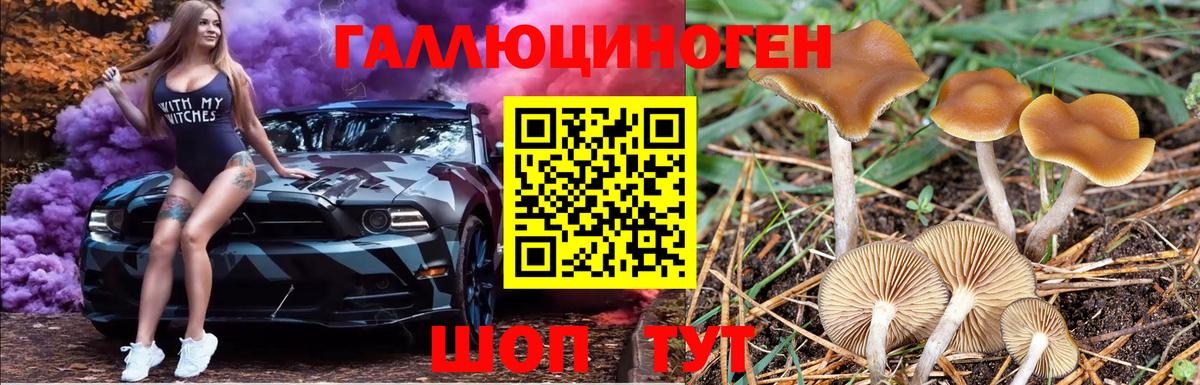 Псилоцибиновые грибы Psilocybe  Псилоцибиновые грибы MAGIC MUSHROOMS  Вход с VPN  Железногорск 