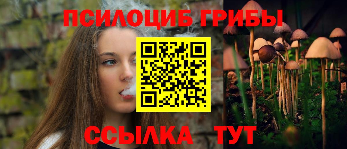 Галлюциногенные грибы Cubensis Железногорск